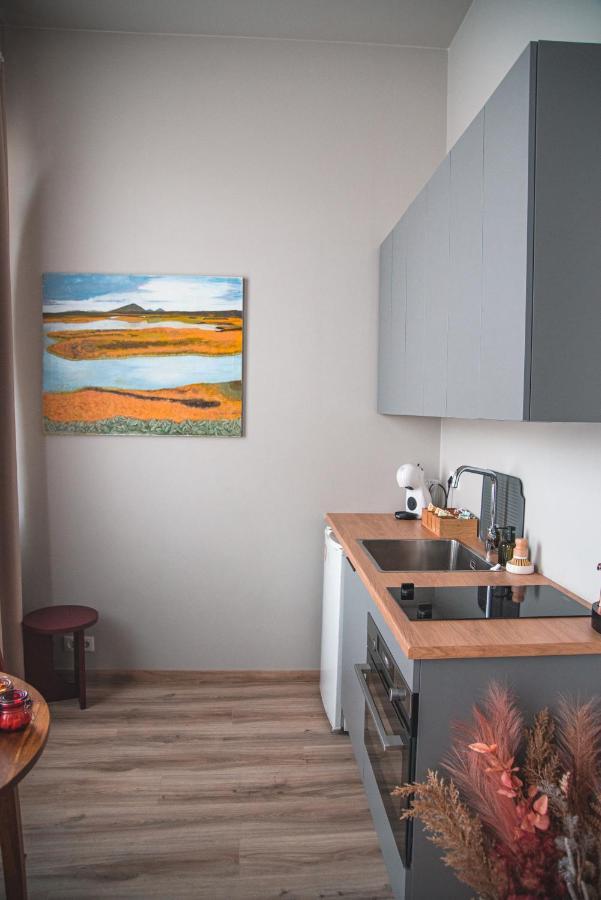 Apartament Cozy Studio By The City Centre Reykjavík Zewnętrze zdjęcie